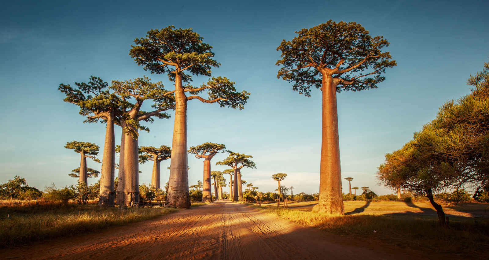 Morondava, Madagascar