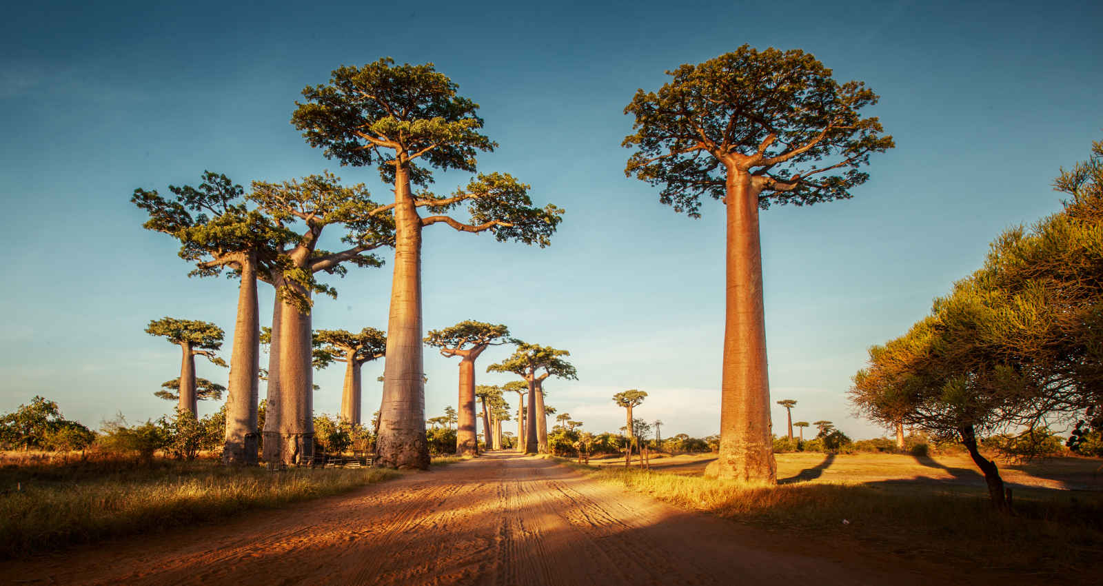 madagascar paysage