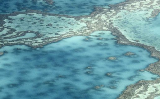 Grande barrière de corail australienne, Queensland, Australie