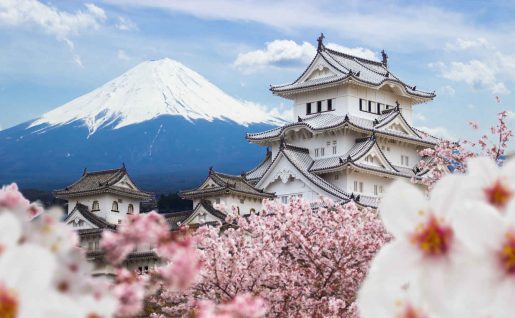 Mont Fuji, Chateau Himeki, Cerisiers en fleur, Japon