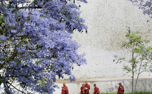 Moines dans un temple de Punakha, Bhoutan