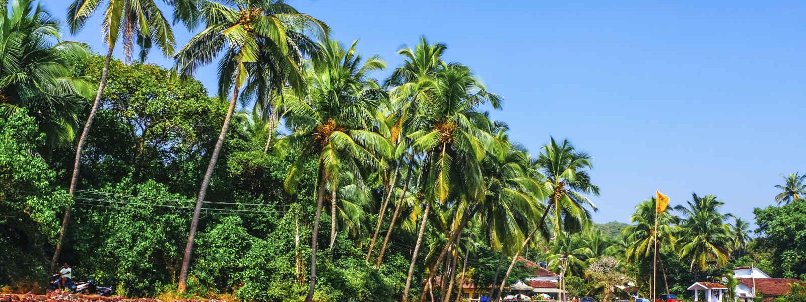 Barques de pêche, Goa, Inde