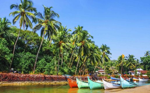 Barques de pêche, Goa, Inde