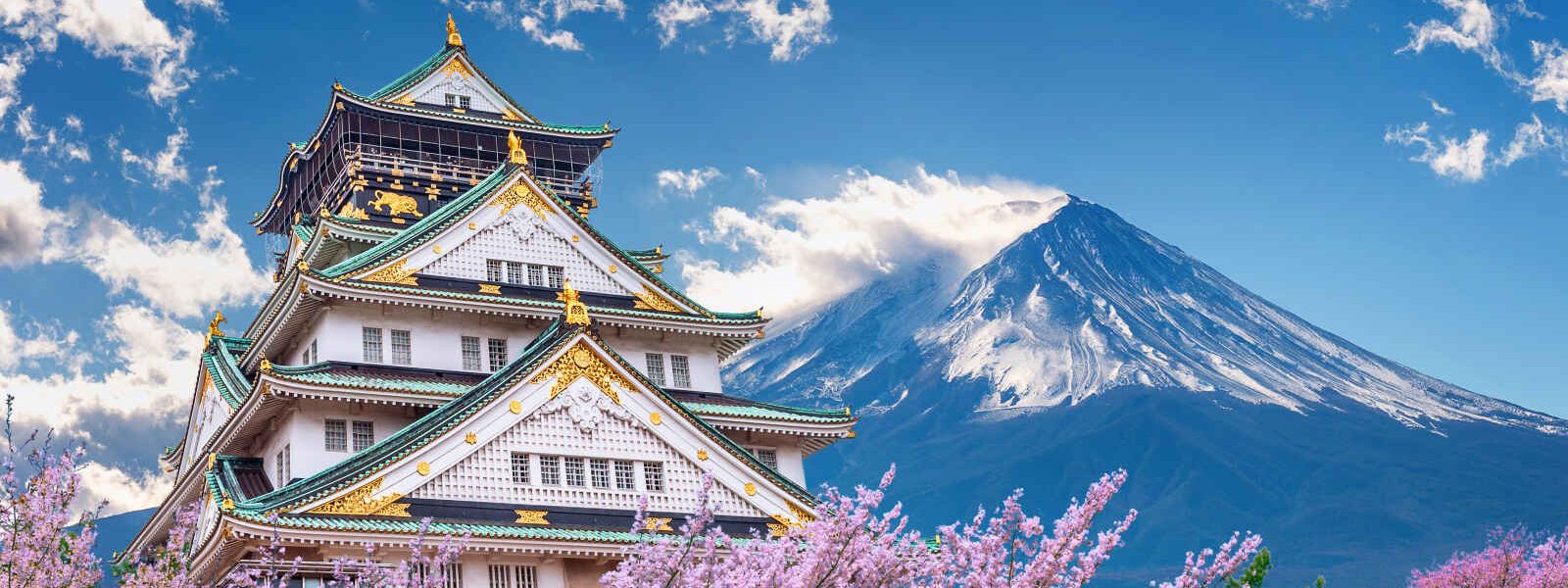 Mont Fuji et Chateau, Osaka, Japon