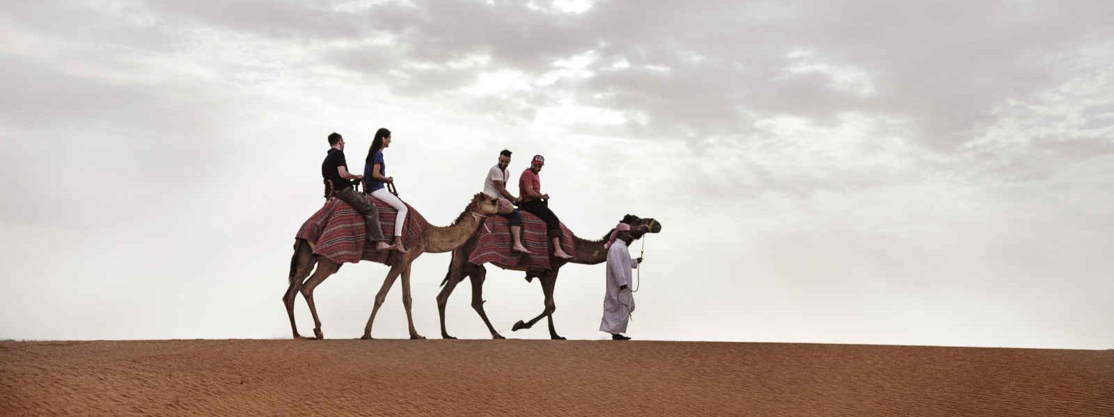 Balade en chameaux, Désert, Dubaï