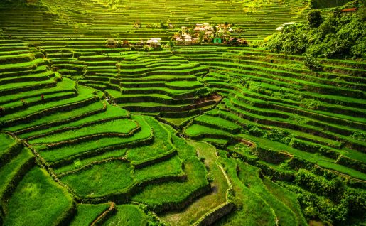 Rizières de Banaue, Philippines