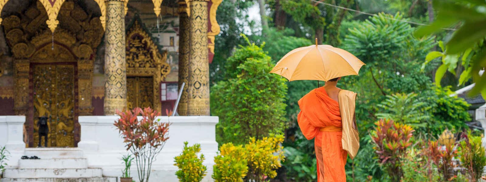 Moine à l'entrée d'un temple, Luang Prabang, Laos