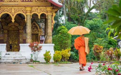 Moine à l'entrée d'un temple, Luang Prabang, Laos