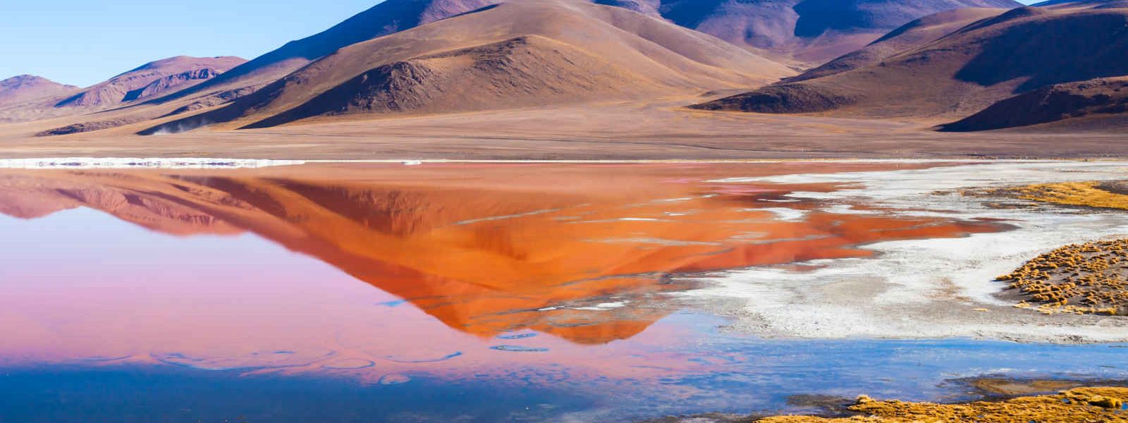 Laguna Colorada, Altiplano, Bolivie