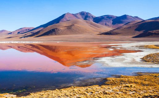 Laguna Colorada, Altiplano, Bolivie