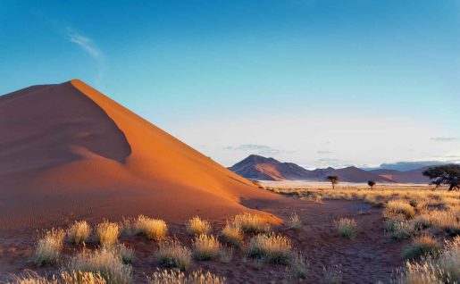 Dunes de Sossusvlei, Désert de Namib, Namibie