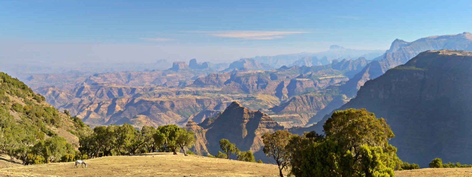 Montagnes Simien, Ehiopie