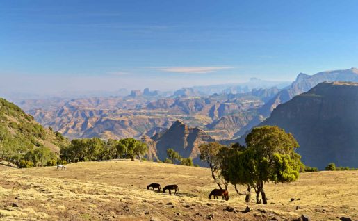 Montagnes Simien, Ehiopie