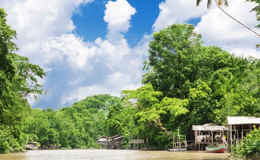 Fleuve Amazone, Amazonie, Brésil