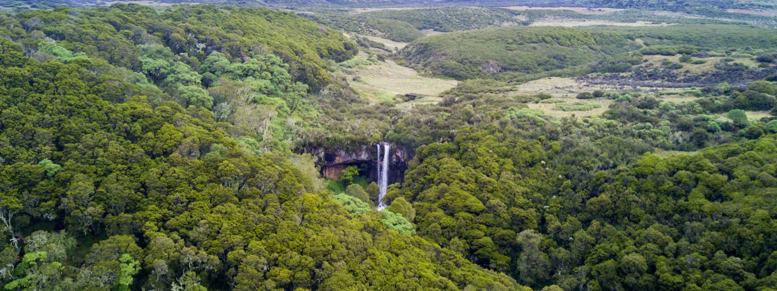 Chutes d'eau, Parc National d'Aberdares, Kenya