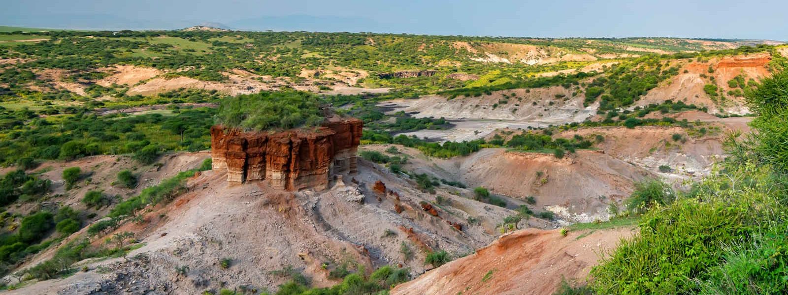 Gorges d'Olduvai, Réserve de Serengeti, Tanzanie