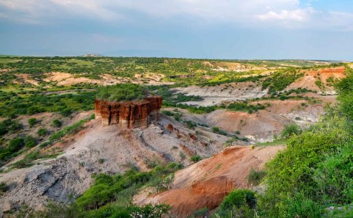 Gorges d'Olduvai, Réserve de Serengeti, Tanzanie