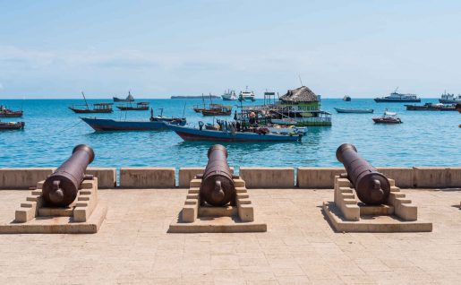 Canons face aux bateaux de pêcheurs, Stone Town, Zanzibar