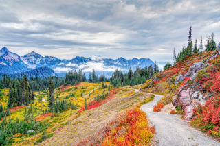 Mount Rainier National Park, Washington, Etats Unis