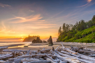 Olympic National Park, Washington, Etats Unis