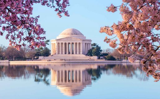 Mémorial de Jefferson et le bassin de la Vasière, Washington DC, Etats Unis