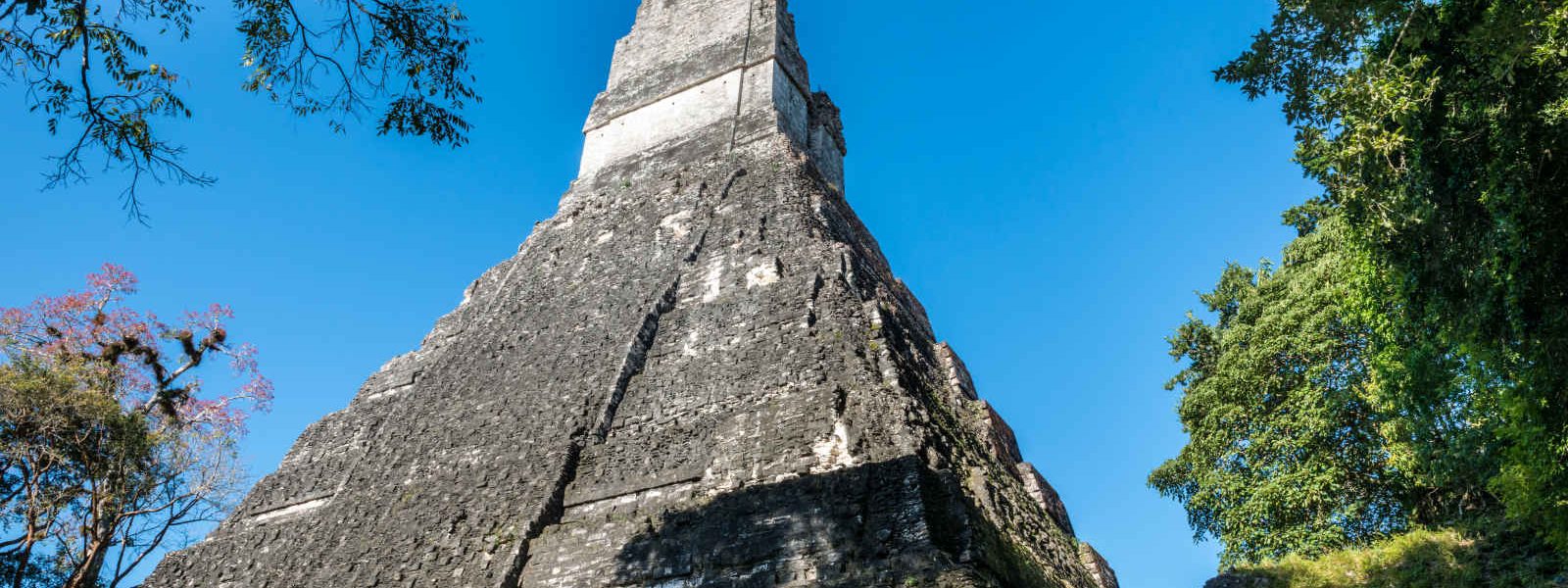 Ruines de la Pyramide deTikal, Guatemala