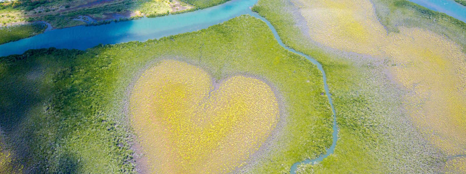 Vue aérienne, Coeur de Voh, Nouvelle-Calédonie