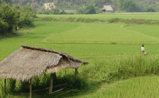 Village, Laos