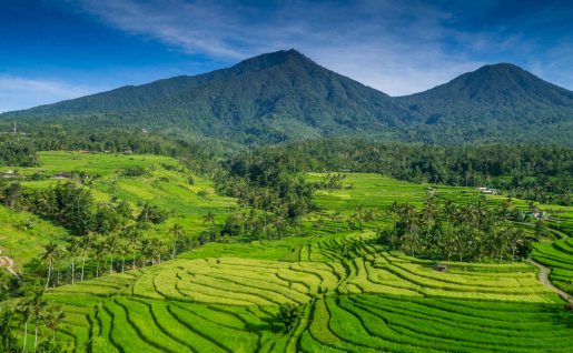 Rizière Jatiluwih, Bali, Indonésie