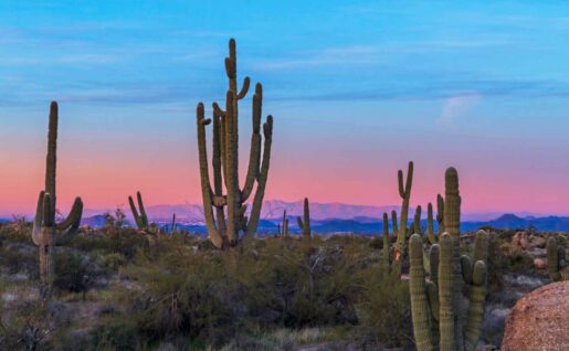 Phoenix, Arizona, Etats Unis