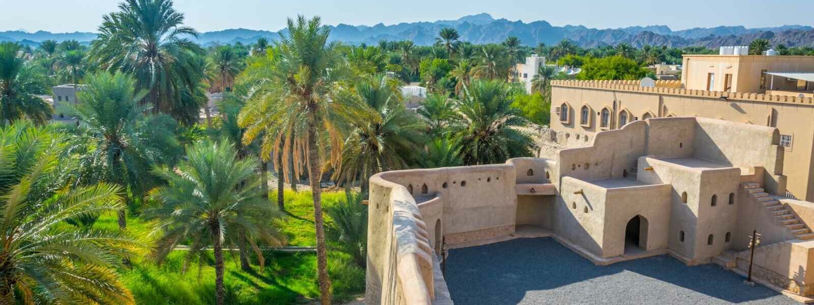 Forteresse de Nizwa et oasis luxuriante, Oman