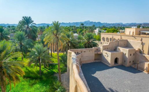 Forteresse de Nizwa et oasis luxuriante, Oman