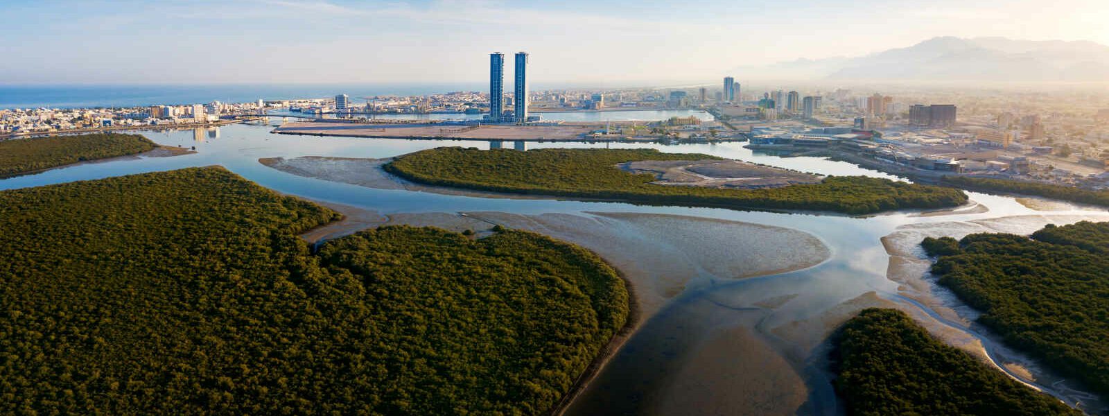 Mangrove, Ras al Khaimah, Emirats Arabes Unis