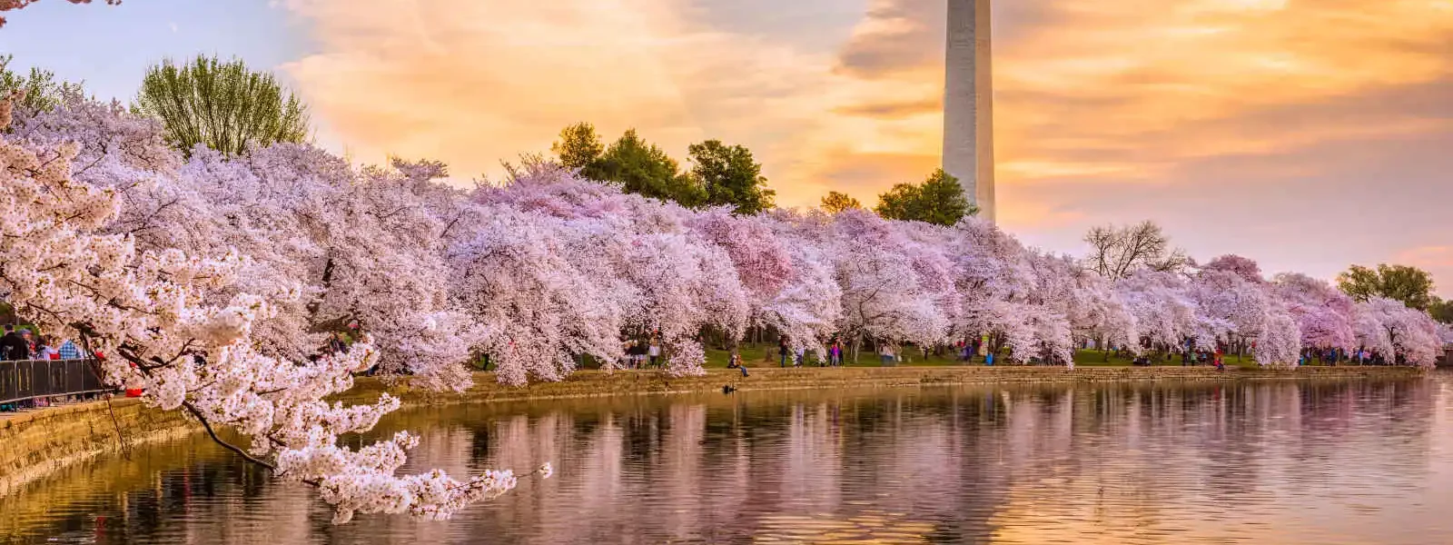 Washington Monument, Washington, USA