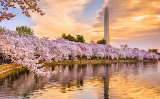 Washington Monument, Washington, USA
