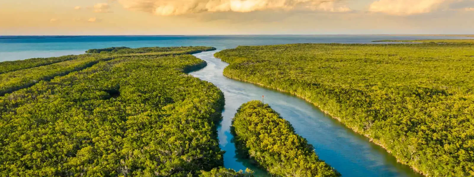 Everglades National Park, Floride, États-Unis