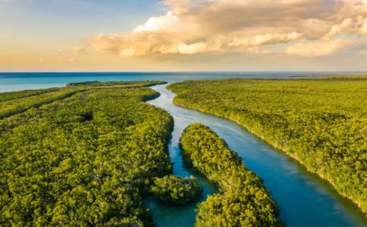 Everglades National Park, Floride, États-Unis