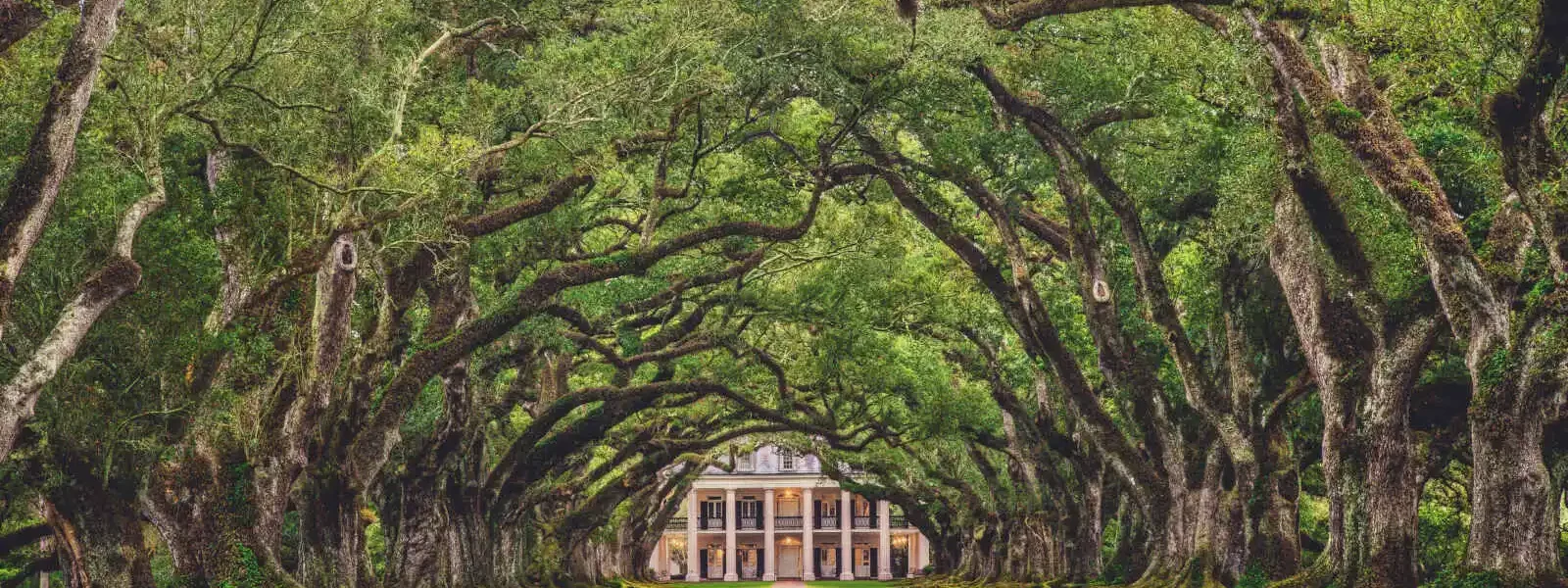 Plantation Oak Alley, Louisiane, États-Unis