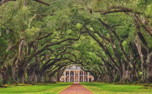 Plantation Oak Alley, Louisiane, États-Unis