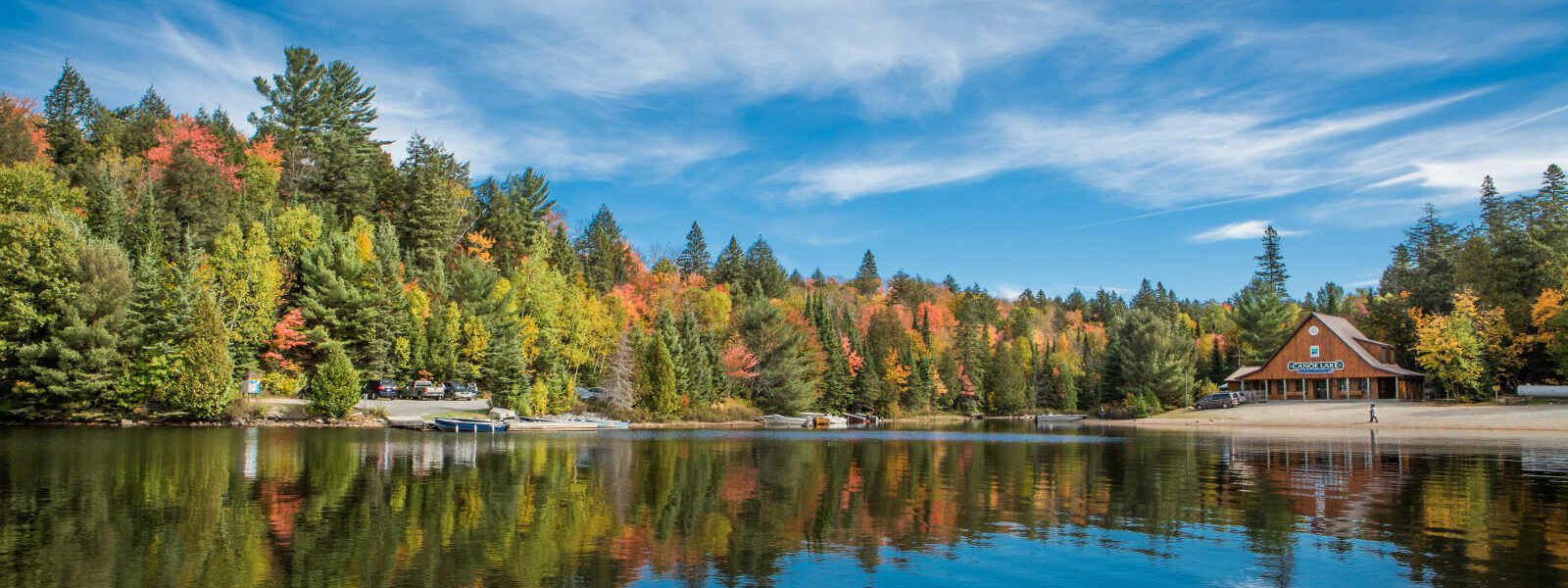 Parc provincial d' Algonquin, Ontario, Canada