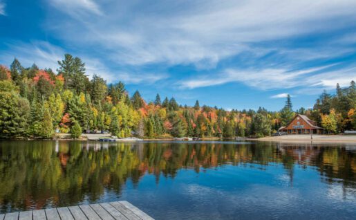 Parc provincial d' Algonquin, Ontario, Canada