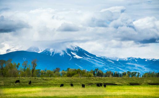 Bozeman, Montana, Etats Unis