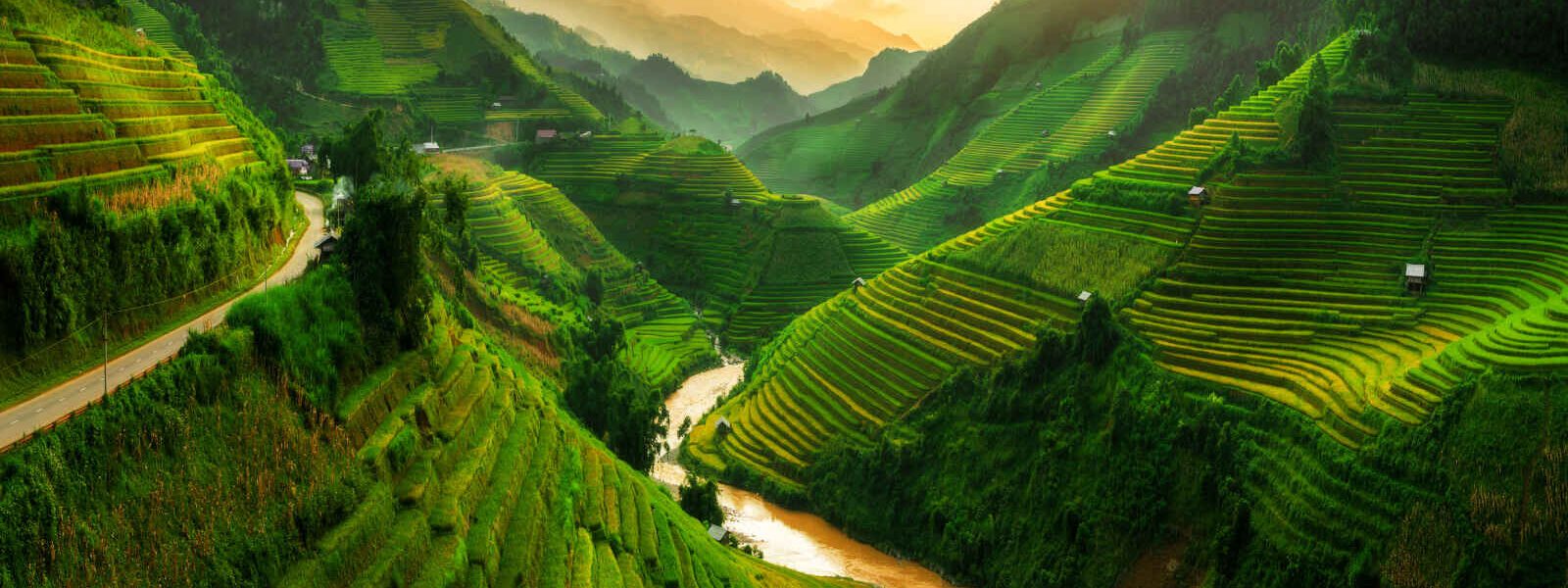 Rizières en terrasse, Vietnam