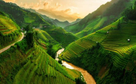 Rizières en terrasse, Vietnam