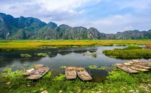 Réserve naturelle de Van Long, Vietnam
