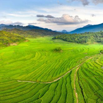Rizières, Vietnam