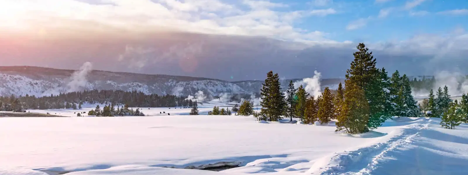 Yellowstone, Wyoming, USA