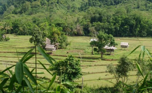 Région d'Oudomxay, Laos