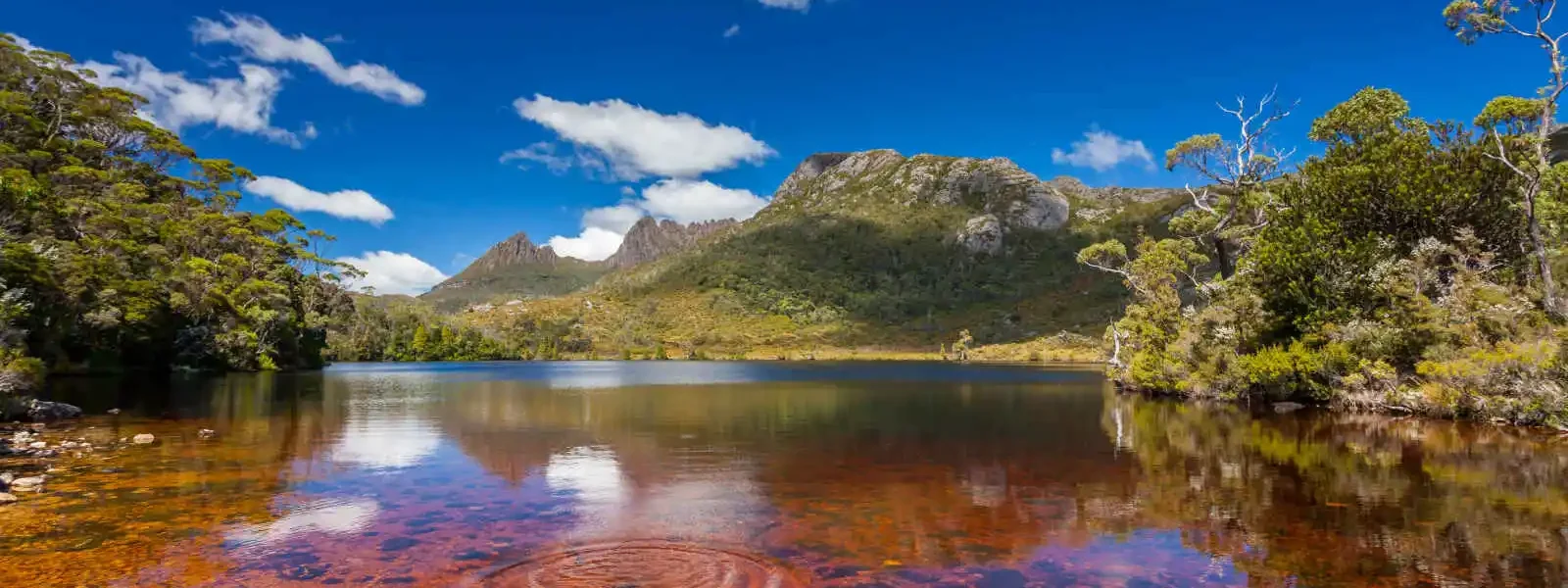 Cradle Mountain et Dove Lake, Cradle Mountain Lake St Clair National Park, Tasmanie, Australie