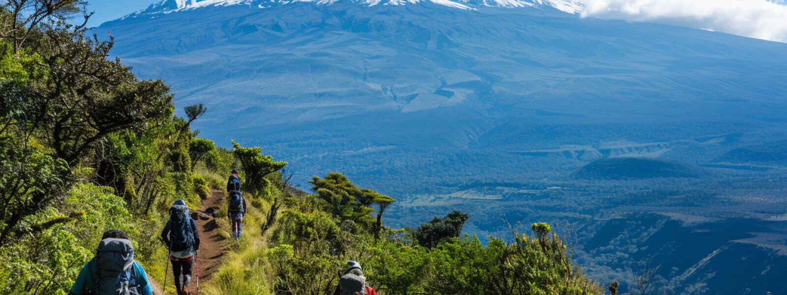 Randonnée, Kilimandjaro, Tanzanie